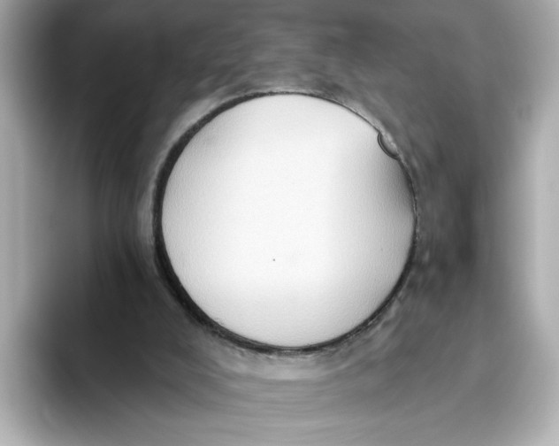 X0000093520008200711021054