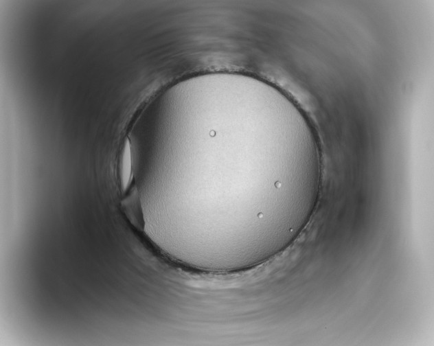 X0000093520009200711021054