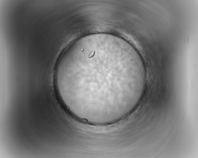 X0000093520010200711021054