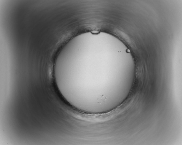 X0000093520023200711021054