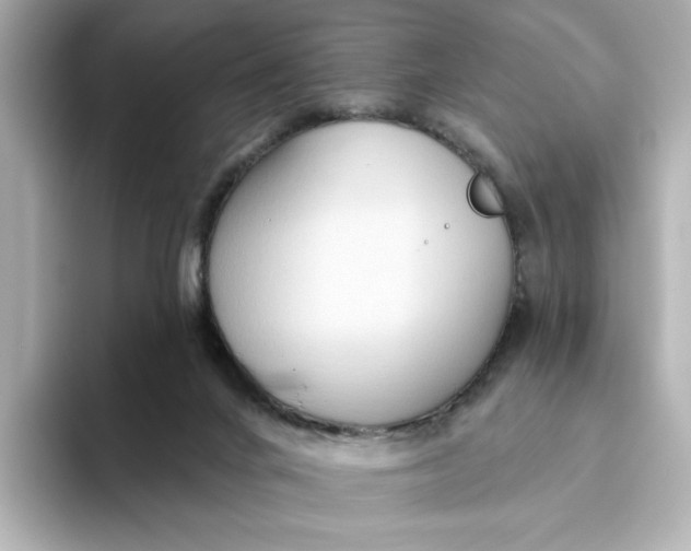 X0000093520024200711021054