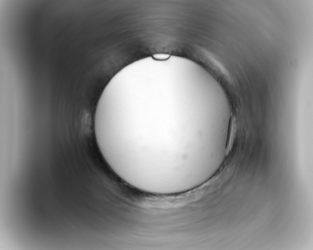 X0000093520025200711021054