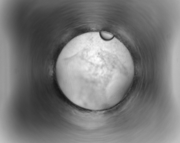 X0000093520032200711021054