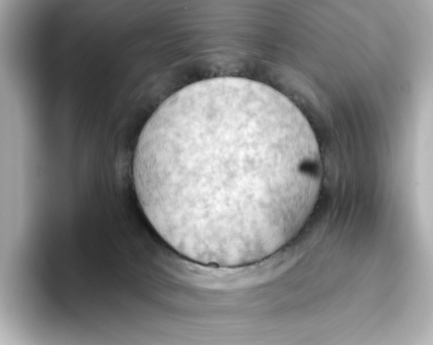 X0000093520034200711021054