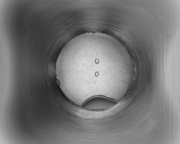 X0000093520048200711021054