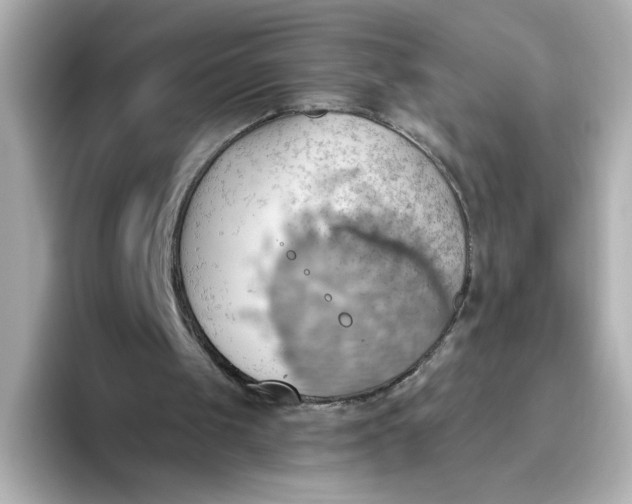 X0000093520049200711021053