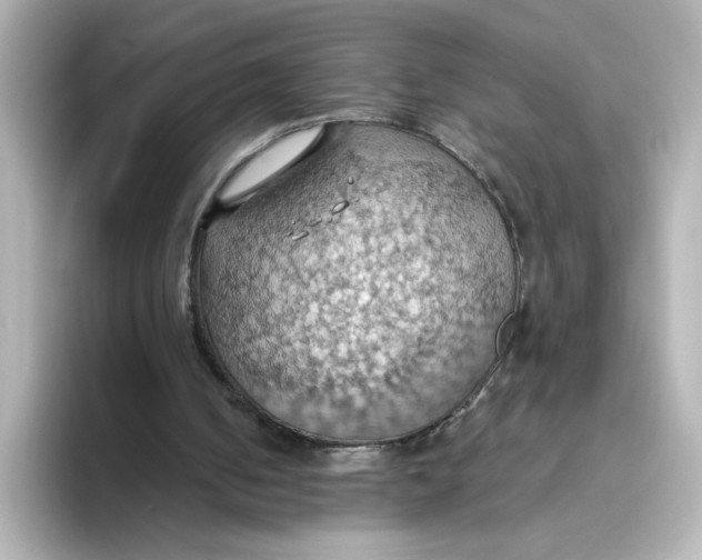 X0000093520050200711021053