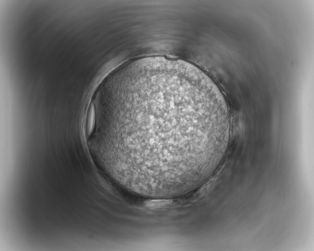 X0000093520051200711021053