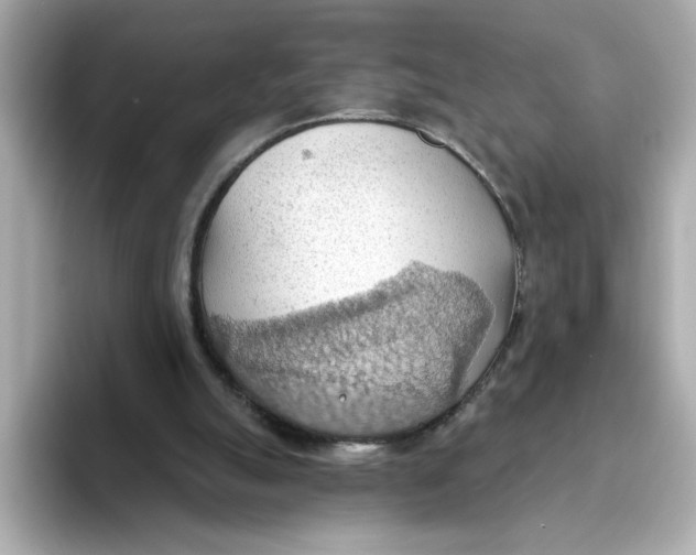 X0000093520055200711021053