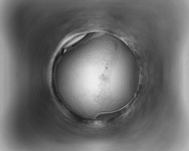 X0000093520056200711021053