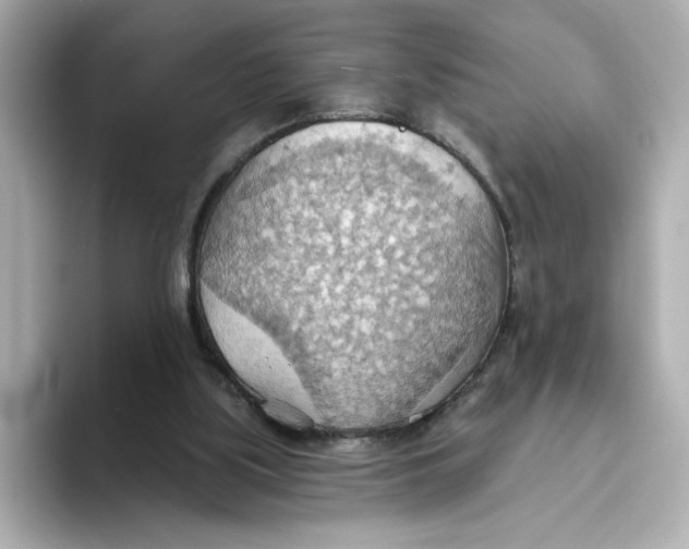 X0000093520059200711021053