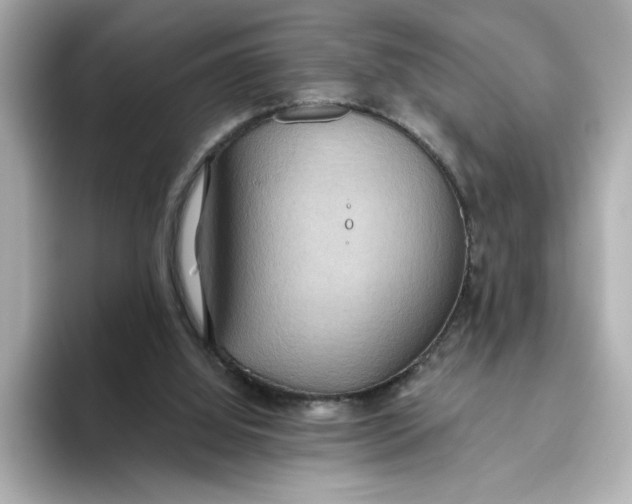 X0000093520060200711021053