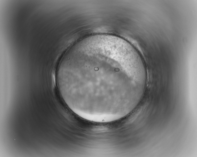 X0000093520061200711021053