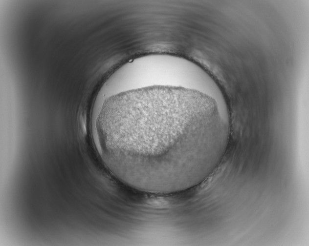 X0000093520062200711021054