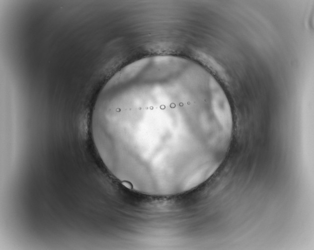 X0000093520065200711021054