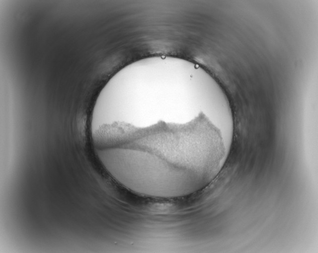 X0000093520066200711021054