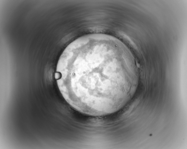 X0000093520071200711021054