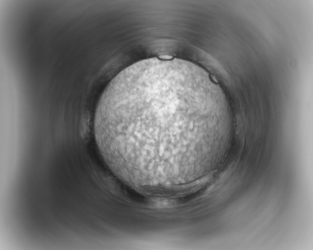 X0000093520073200711021054