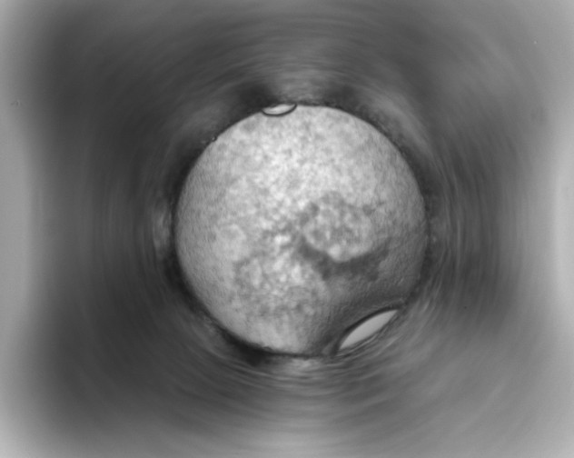 X0000093520081200711021054