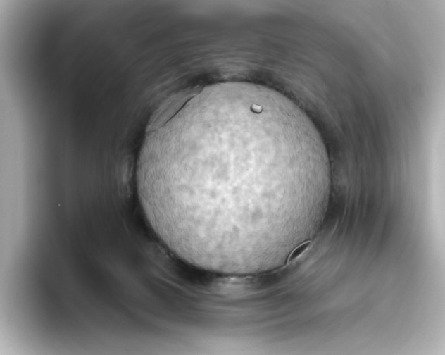 X0000093520082200711021054