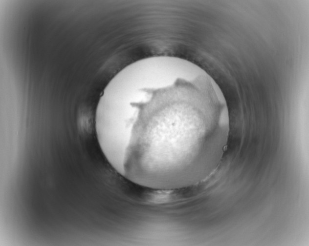 X0000093520090200711021054