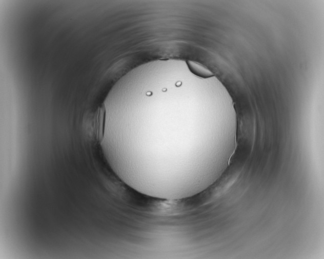 X0000093520092200711021054