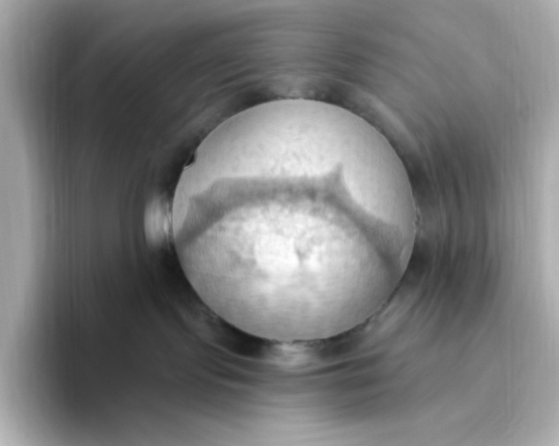 X0000093520095200711021054