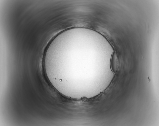 X0000093520098200711021053