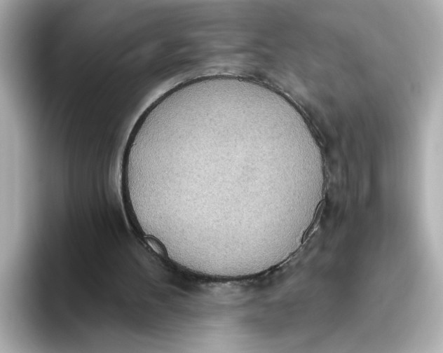 X0000093520100200711021053