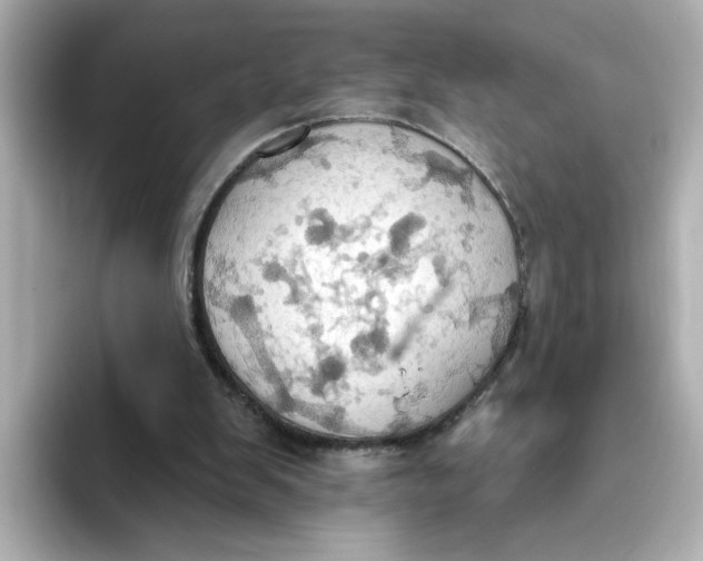 X0000093520103200711021053