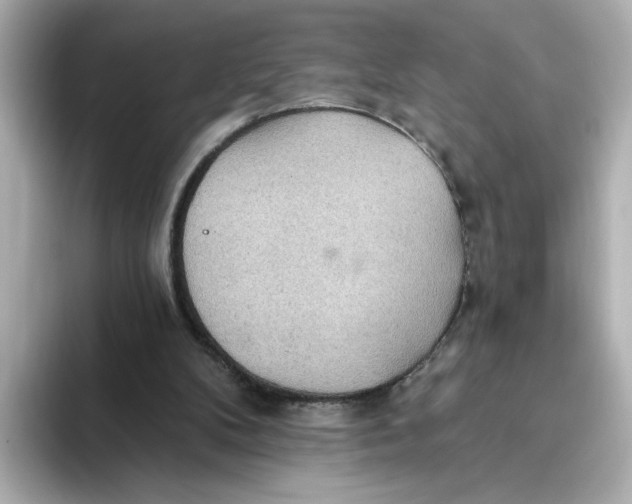 X0000093520104200711021053