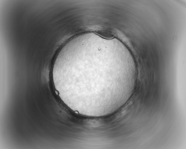 X0000093520106200711021053