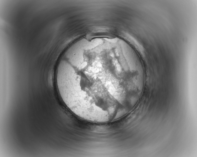 X0000093520107200711021053