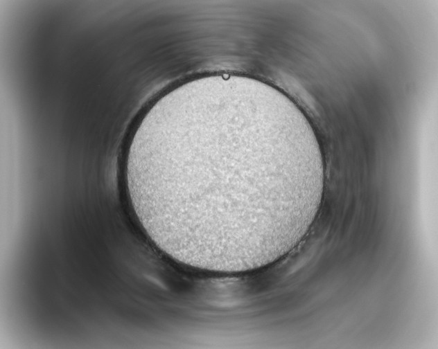 X0000093520108200711021053