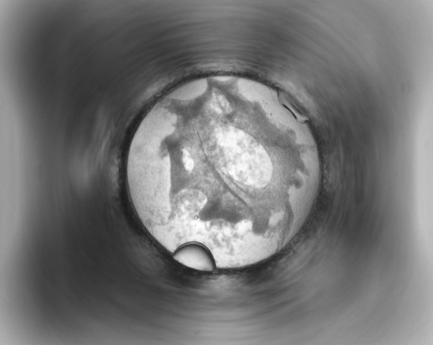 X0000093520111200711021053