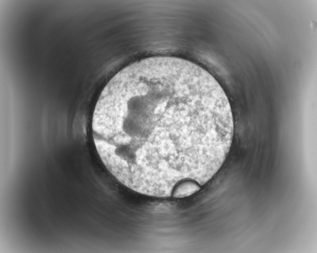 X0000093520115200711021053