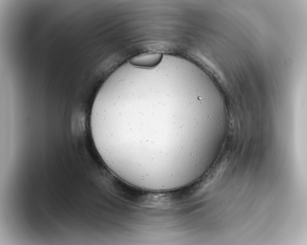 X0000093520117200711021053