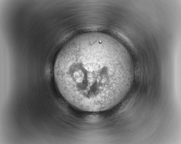 X0000093520119200711021053