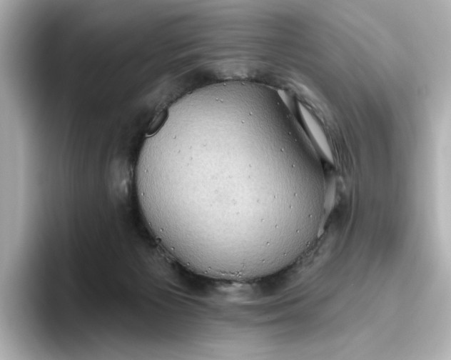 X0000093520125200711021053