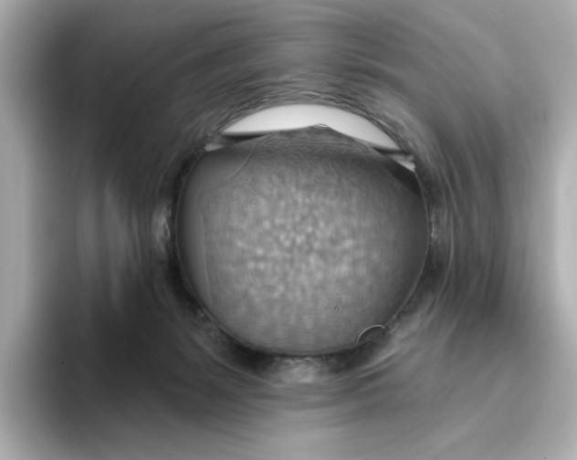 X0000093520127200711021053