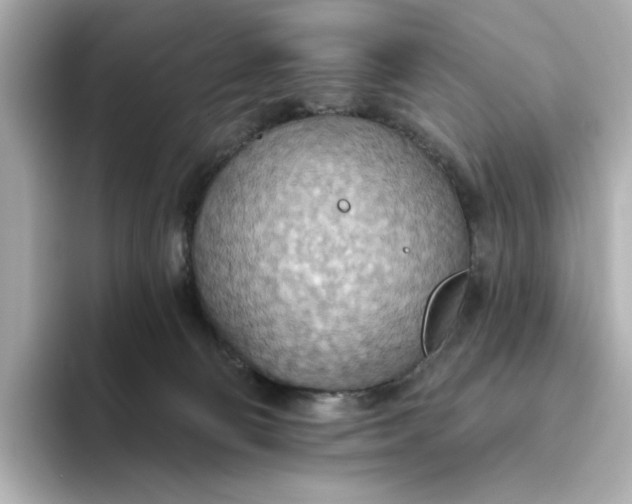 X0000093520130200711021053