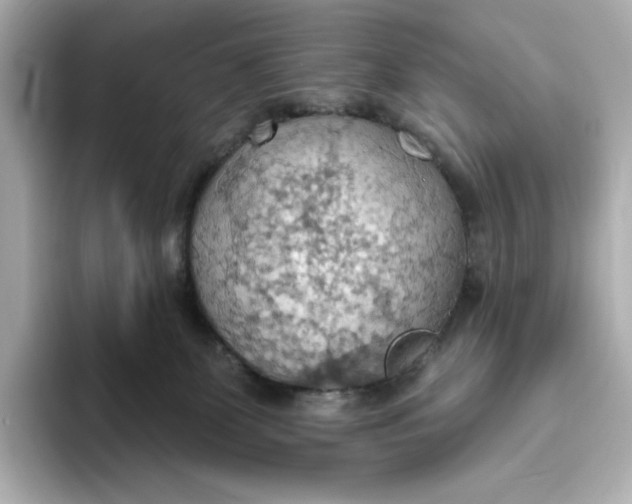 X0000093520131200711021053