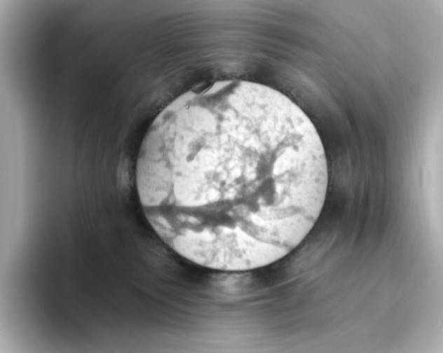 X0000093520135200711021053