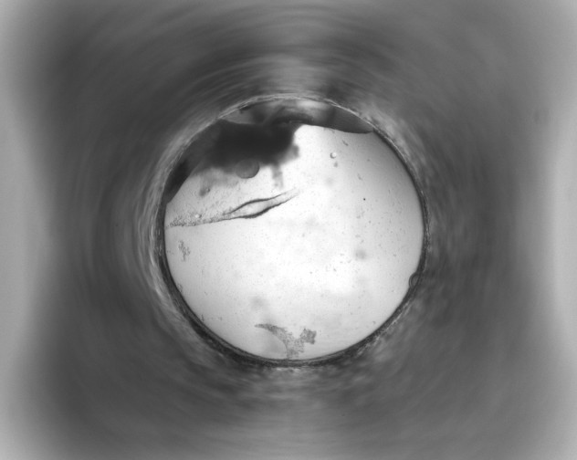 X0000093520145200711021052