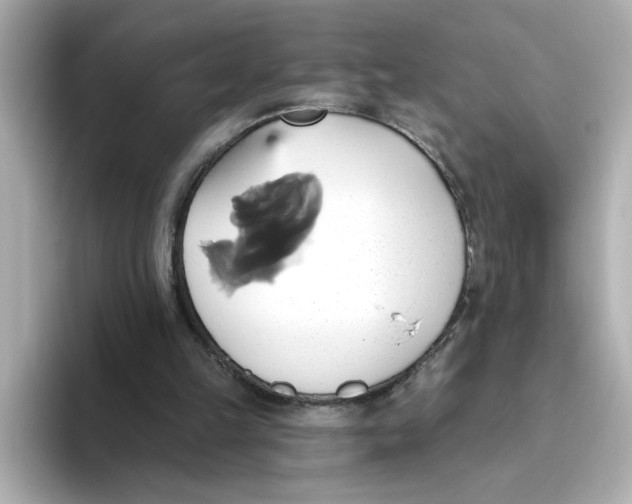 X0000093520149200711021052