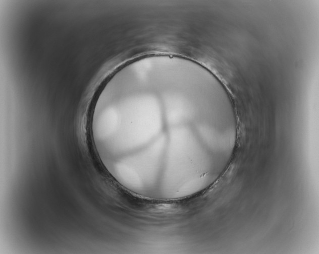 X0000093520151200711021052