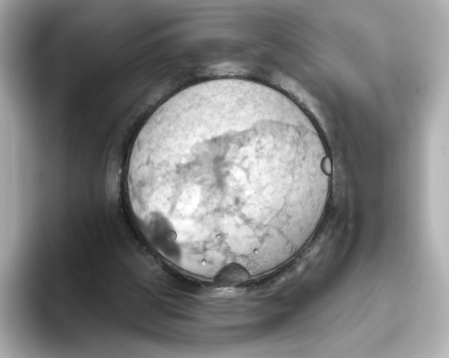 X0000093520153200711021052