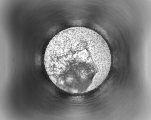 X0000093520161200711021052