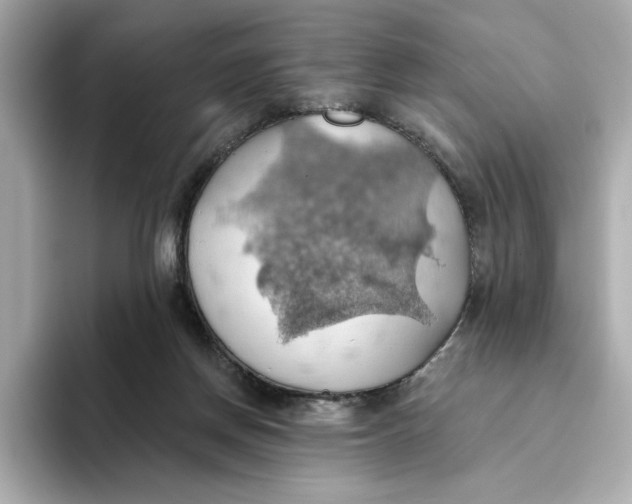 X0000093520166200711021052