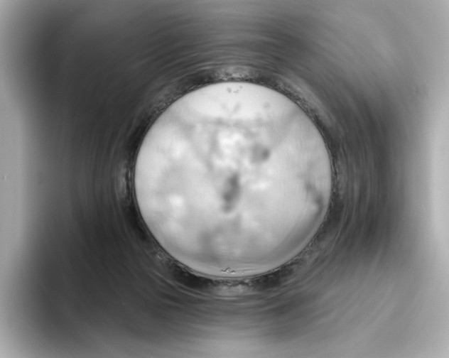 X0000093520169200711021052